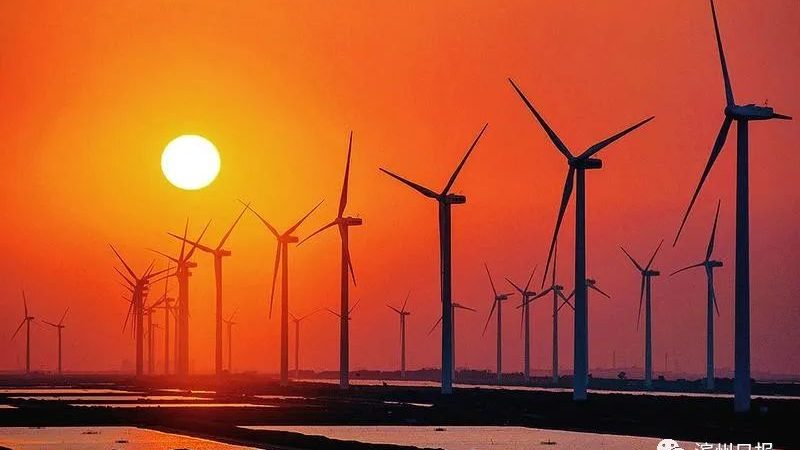 苏州慕森园艺有限公司